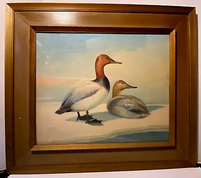 Original Bird/Duck Art Painting - George Miksch Sutton Canvasback Ducks  Pair • $1500