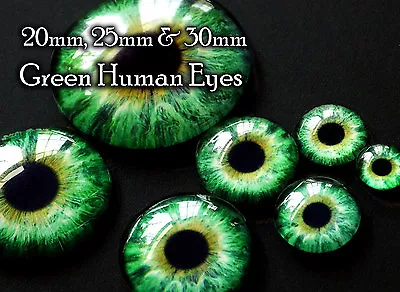 £4.50 • Buy Taxidermy Glass Dragon, Doll, Teddy Eyes, Green 20mm, 25mm, 30mm