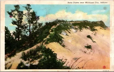 Sand Dunes Near Michigan City Indiana Growing Grass In The Hill Postcard A79 • $8.95