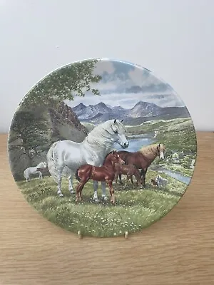 Davenport Pottery Limited Edition Collectors Plate - Welsh Mountain Ponies 1990 • £3.99