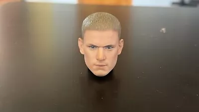 1/6 Scale Michael Scofield Hot Toys Head • $19.59