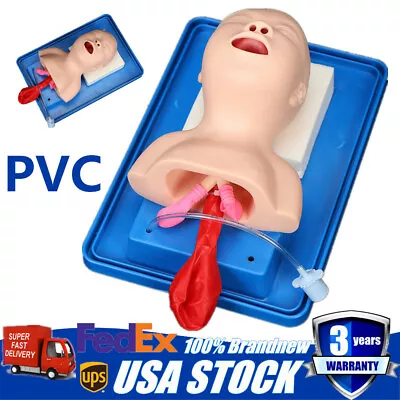 $84.55 • Buy Intubation Manikin Study Teaching Baby Infant Model Airway Management Trainer US