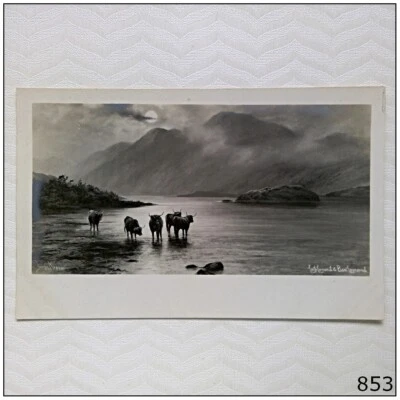 £3.18 • Buy Elmer Keene Postcard (P853)