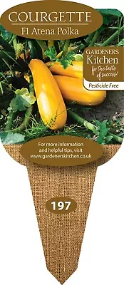 Courgette Plants 'F1 Atena Polka' - 3 X 9cm Pot Vegetable Plants. • £10.99