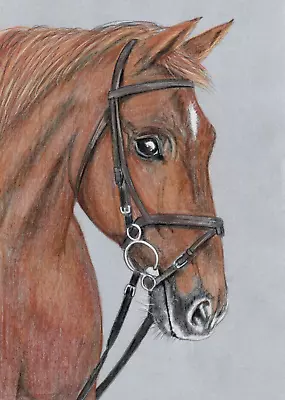 Original Color Pencil Artwork Art Picture  Adorable Impressive Chestnut Horse • £11.09