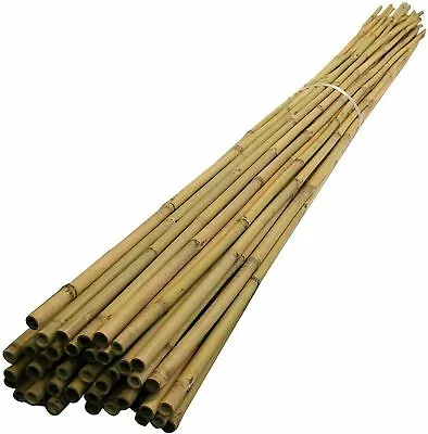 10 X 6FT (14-16mm) Bamboo Canes/Stake/ Pole Garden Plant Flower Support Stick • £13.99
