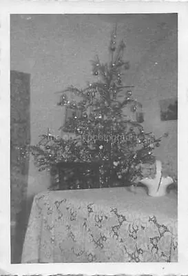 CHRISTMAS TREE Vintage FOUND PHOTO Bw FREE SHIPPING Original Snapshot 012 3 D • $13.10