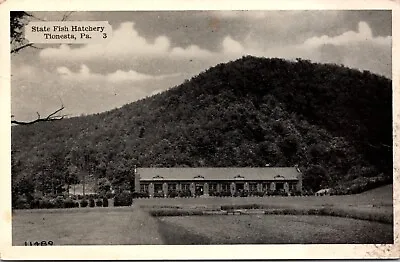 State Fish Hatchery Tionesta Pennsylvania - Postcard • $4.98