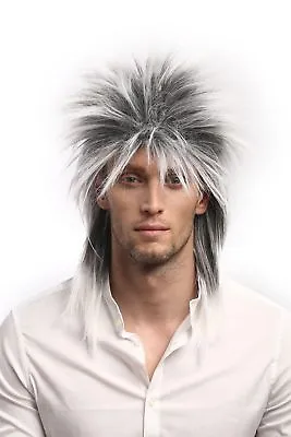 Wig Ladies Men's 80er Pop Wave Punk Popstar Grey-Appearance Backcombs Mullet • $8.53