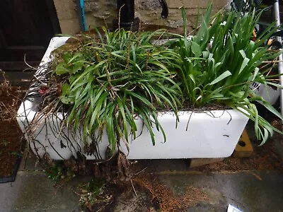 £30 • Buy Butler Belfast Sink Garden Herb Planter