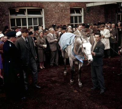 £5.78 • Buy Nicolaus Silver 1961 Grand National Win 5 Horse Racing Old Photo