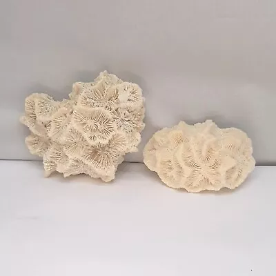 $18.75 • Buy Coral Skeleton Brain Coral Home Decor (Real Coral) 2 Pieces Lot Aquarium 3  4 
