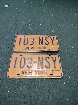 Vintage Set New York Licence Plates • $18.95