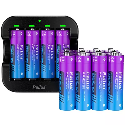 AA Lithium Batteries Pallus 1.5V AA Rechargeable Batteries 3500mWh For Blink Lot • $87.37