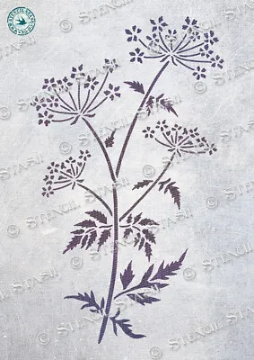 Wild Cow Parsley 4 Sizes STENCIL WP Floral Flowers Leaves SUPERIOR 250 MYLAR • £5