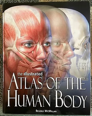 The Illustrated Atlas Of The Human Body • $15