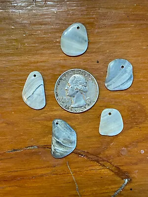 Quahog Shell Wampum - POLISHED 5  DRILLED Pieces Jewelry Quality Jones Beach • $10