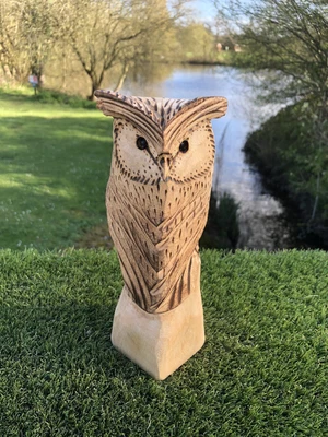 £45 • Buy Bespoke Chainsaw Owl Carvings In Wood 13A62023