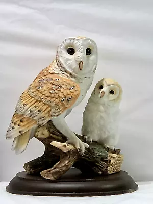 Barn Owl  Fine Porcelain Figurine W/ Base By Maruri  Eyes Of The Night  #O-8807 • $109.99