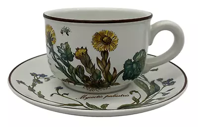 Villeroy & Boch Botanica Cup & Saucer • $14.70