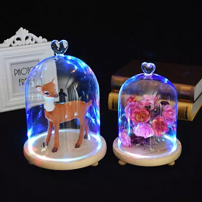 £9.95 • Buy LED Light Up Ornament Glass Display Dome Cloche Bell Jar Mixcolour LED Wood Base