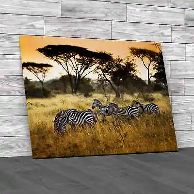 Herd Of Zebras On The African Savannah Canvas Print Large Picture Wall Art • £14.95