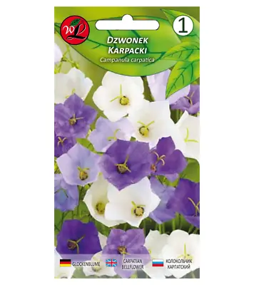 Flower Seeds - TUSSOCK BELLFLOWER -0.2G • £2