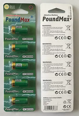 5 X PoundMax 4LR44 4G13476A PX28 L1325 A544 6v Alkaline Battery • £3.69