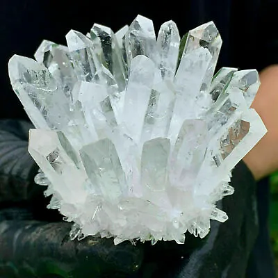 Clear Cluster Quartz Crystal Cluster Mineral Specimen 250-1000G Point Healing • $38.99