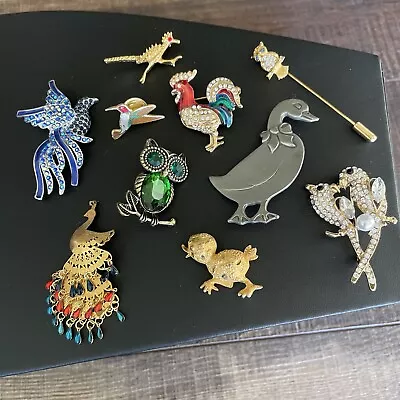 Vintage Brooch Pin Lot Rhinestone Bird Owl Silver Goldtone Pheasant Roadrunner • $2.25