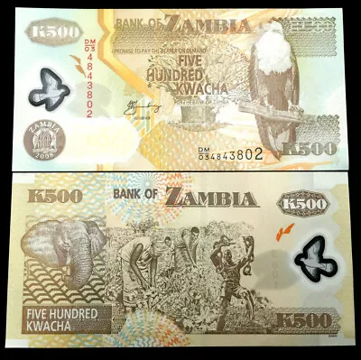 Zambia 500 Kwacha Polymer Banknote World Paper Money UNC Currency Bill Note • $2.45