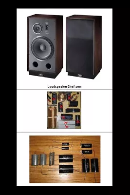 Magnat Transpulse 1500 Speakers - Crossover Upgrade Kit (PAIR)   • $156