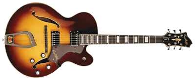 Hagstrom HJ800-VSB Hollow Body Electric Guitar (Vintage Sunburst) • $1067.08