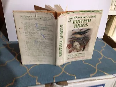 Observers Book Of British Birds 1952  • £14.99