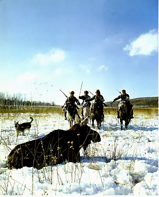 1980 Vintage Print China Hunting Handa Moose Greater Xingan Mountains Hunt • $24.88
