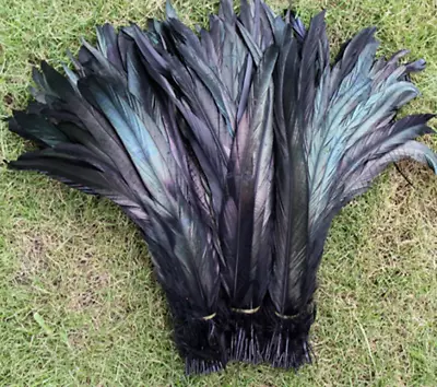 BULK 50pcs BLACK Bronze Rooster Coque Feathers 25-30cm DIY Craft Vase Costume • $25.95