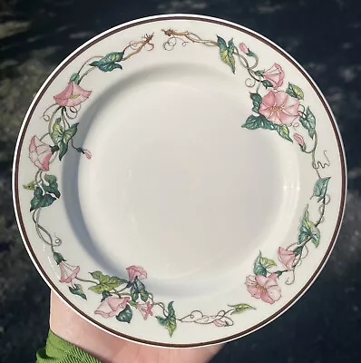 Villeroy & Boch Palermo Vitro-Porcelaine Porcelain Dishwasher Safe 6 5/8  Plate • $11