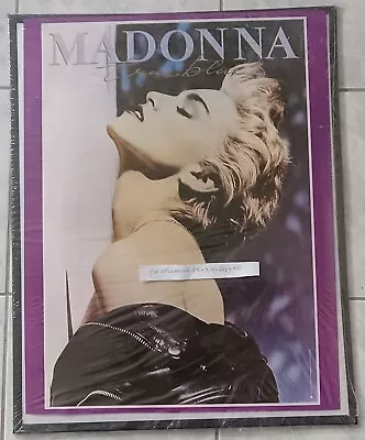 Madonna  True Blue  Cardboard Print With Frame 15 3/4 X 19 3/4 Inches One Only!! • $37.99