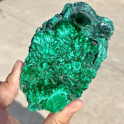 220G Natural Malachite Slice Quartz Crystal Luster Mineral Specimen • $0.99