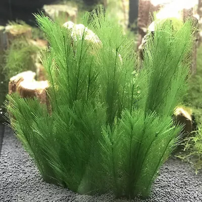 $7.99 • Buy Aquarium Artificial Plant Feather Grass Landscape Water Plants Fish Tank Decor