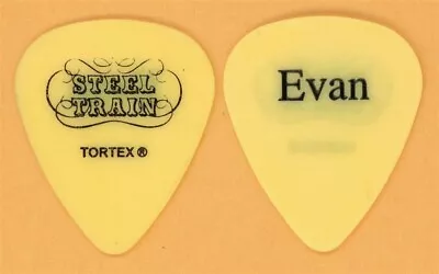 STEEL TRAIN EVAN WINIKER Guitar Pick • $7.99