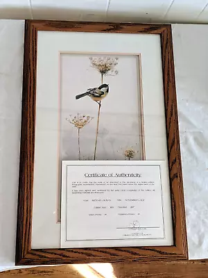 Gorgeous Large November Lace Chickadee Michael Dumas Limited Edition Print W COA • $115