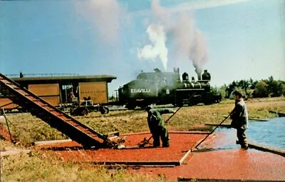 Postcard-Edaville Railroad South Carver Massachusetts No. 8 Passenger Train 0393 • $5.49