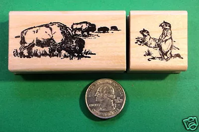 Buffalo/Prairie Dogs Wood Mounted Rubber Stamp • $7.95