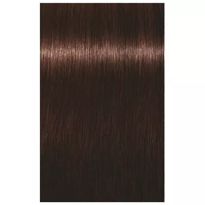 SCHWARZKOPF IGORA ROYAL ABSOLUTES HAIR COLOR 4-05 MEDIUM BROWN NATURAL GOLD 60mL • $19.95