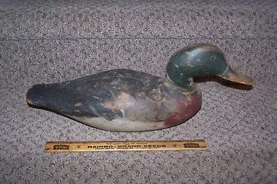 Vintage Dodge Duck Decoy. Early Tack Eye Mallard Drake. Lots Of OP / OK Shape. • $150