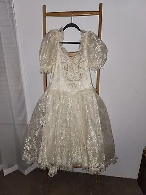Vintage Puffy /Gown Dress • $29.99