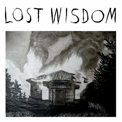 MOUNT EERIE - L Wisdom - CD - **Excellent Condition** - RARE • $135.95