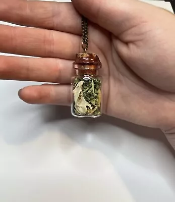 $15 • Buy Nature Oddities Jar Pendant With Chain