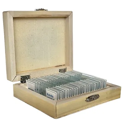 AmScope 24pc Glass Prepared Microscope Slides In Wooden Case W Specimens • $14.99